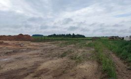 Foto Stritelsnvo Korovnika 001