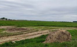 Foto Stroitelstvo Korovnika 001