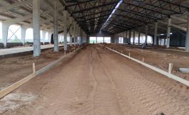 Foto Stroitelstvo Korovnika 031