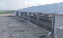 Foto Stroitelstvo Korovnika 060