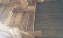 Foto Betonnaya Lestnitsa 004